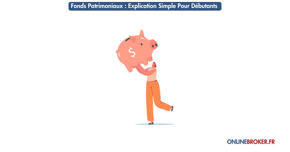 fonds-patrimoniaux-explication-simple-pour-débutants